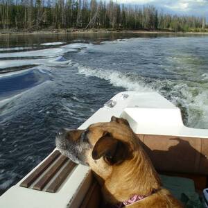 Fundraising Page: Kirk Reimann